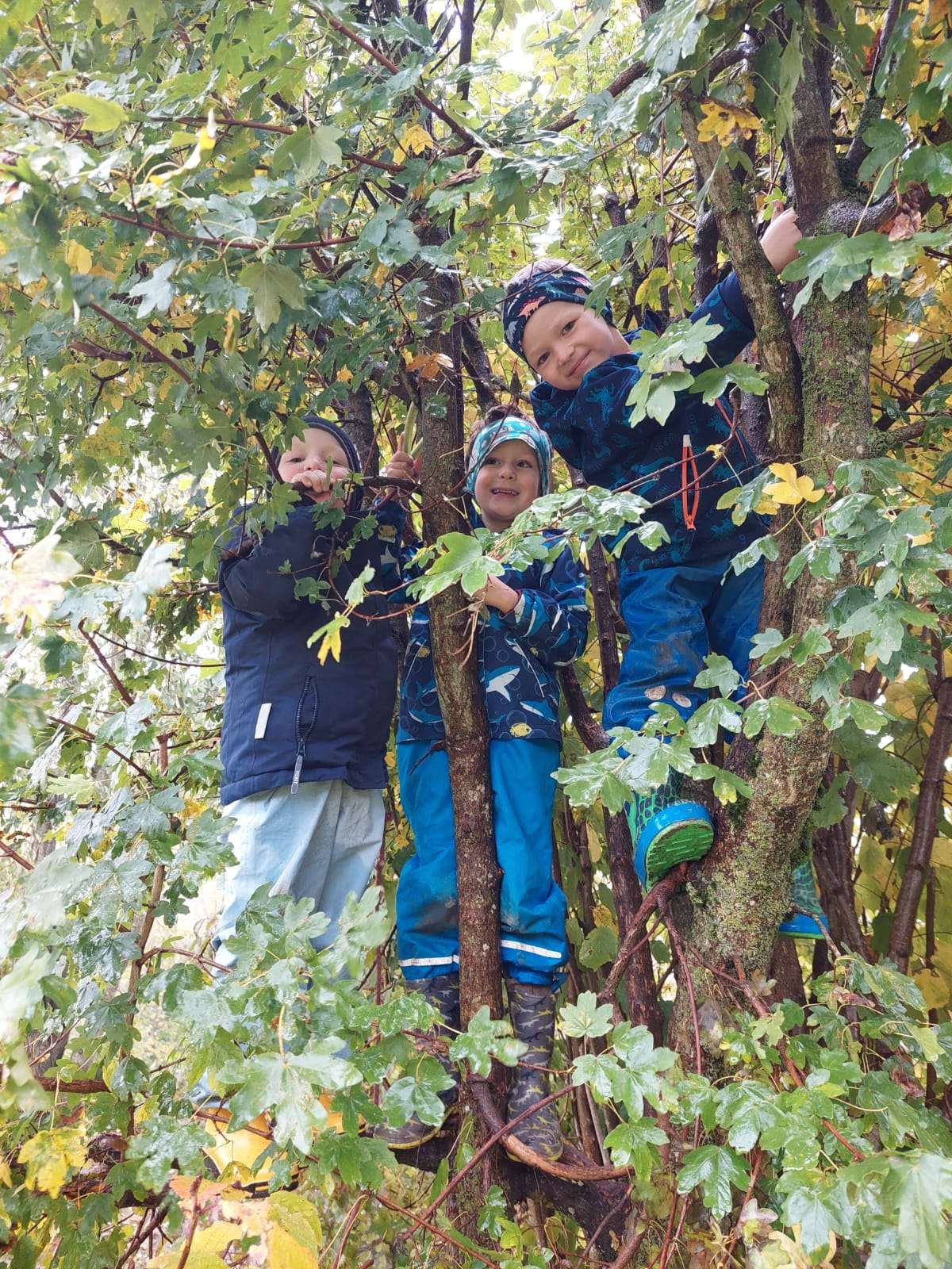 Der Natur auf der Spur
