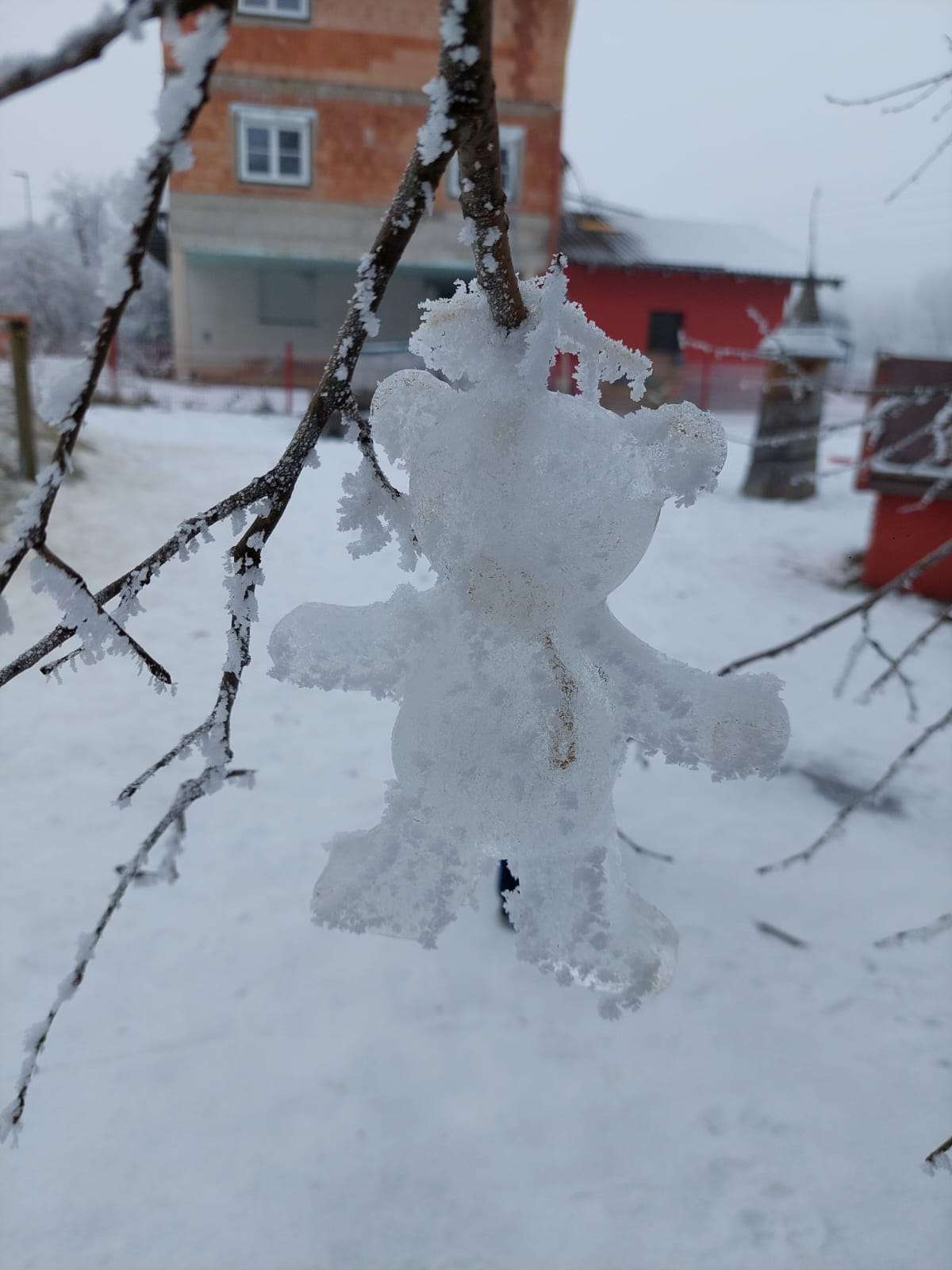 Naturbeobachtungen im Winter
